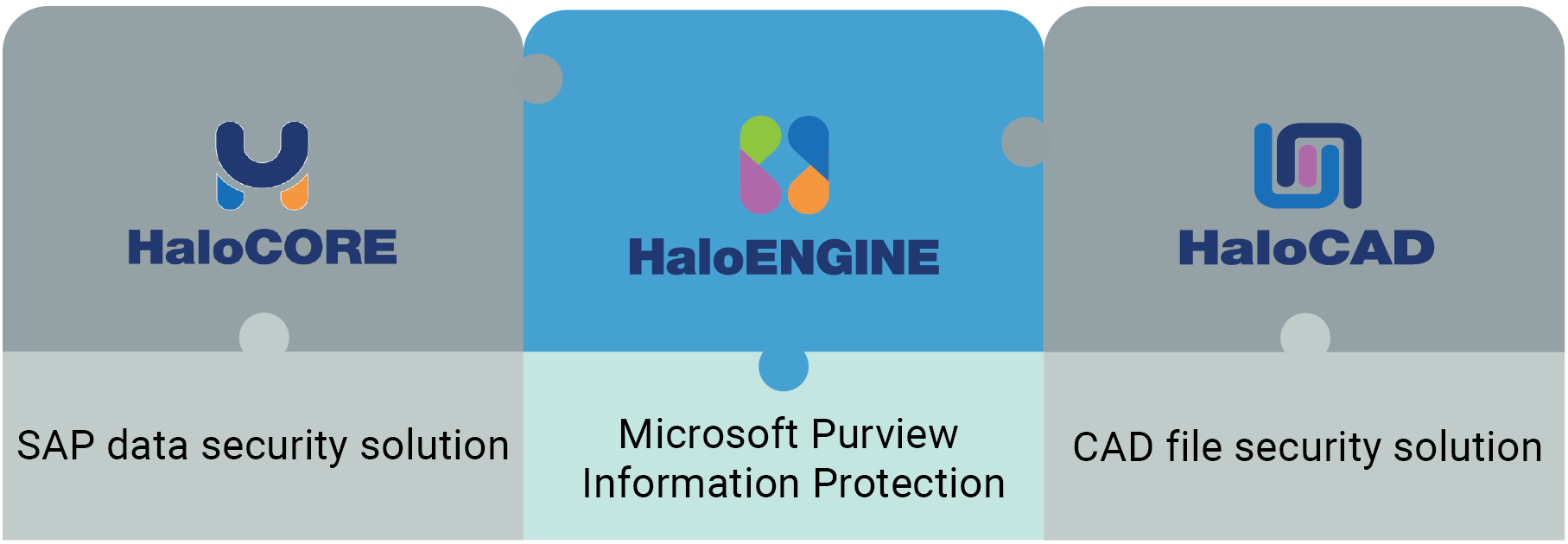 HaloENGINE_Common component.png