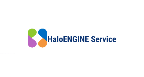 HaloENGINE Service Startup dialog.png