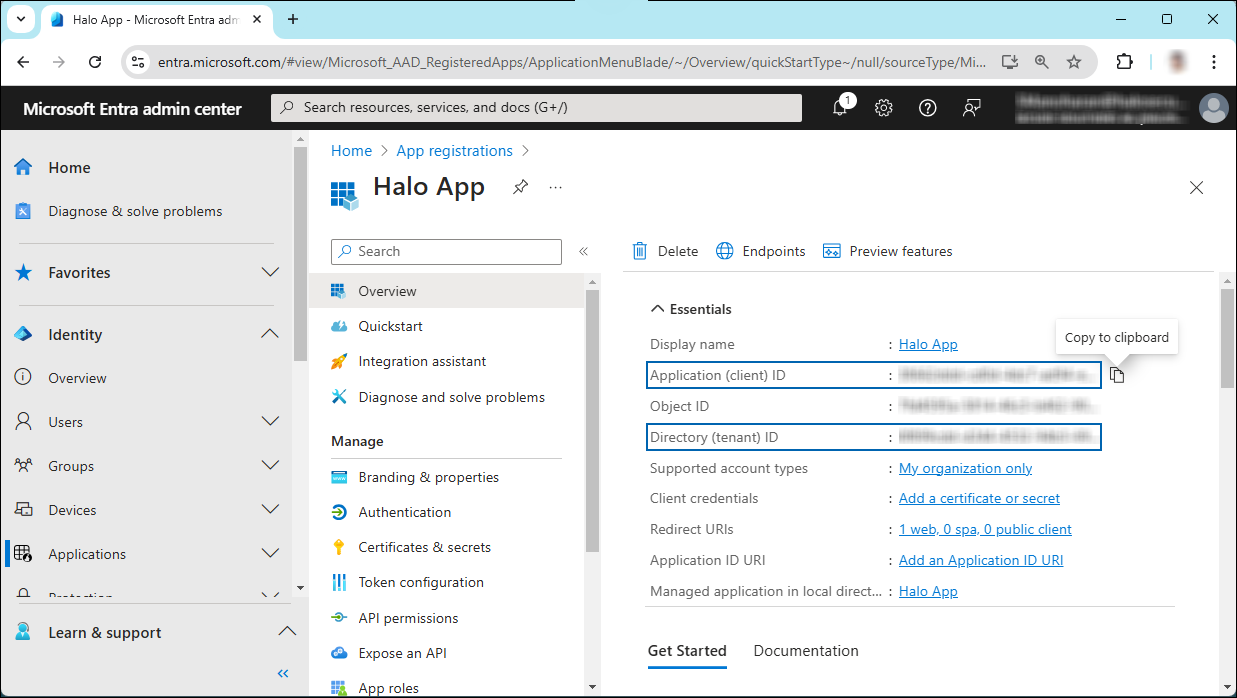 3_Application ID and Tenant ID.png