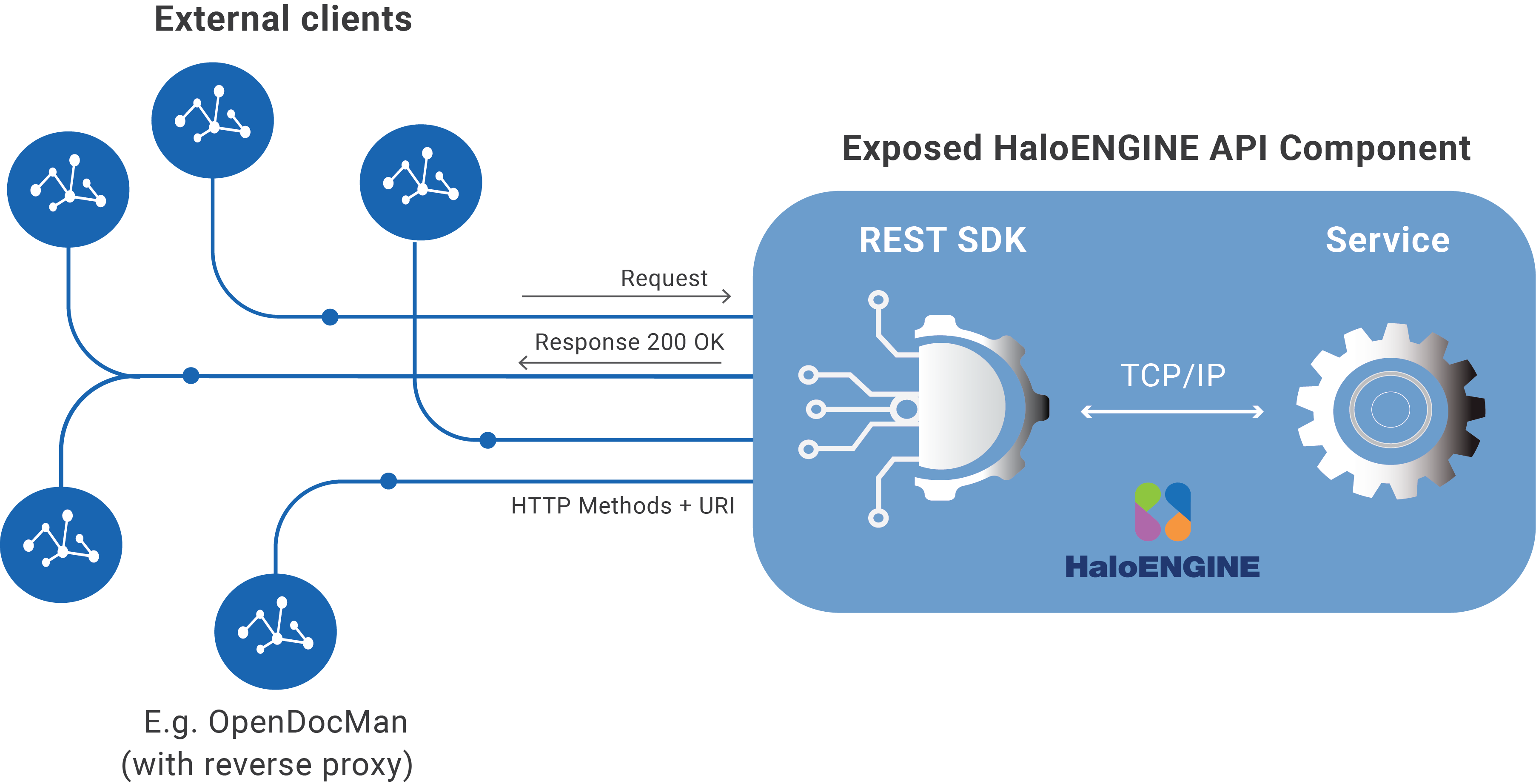 HaloENGINE REST SDK.png