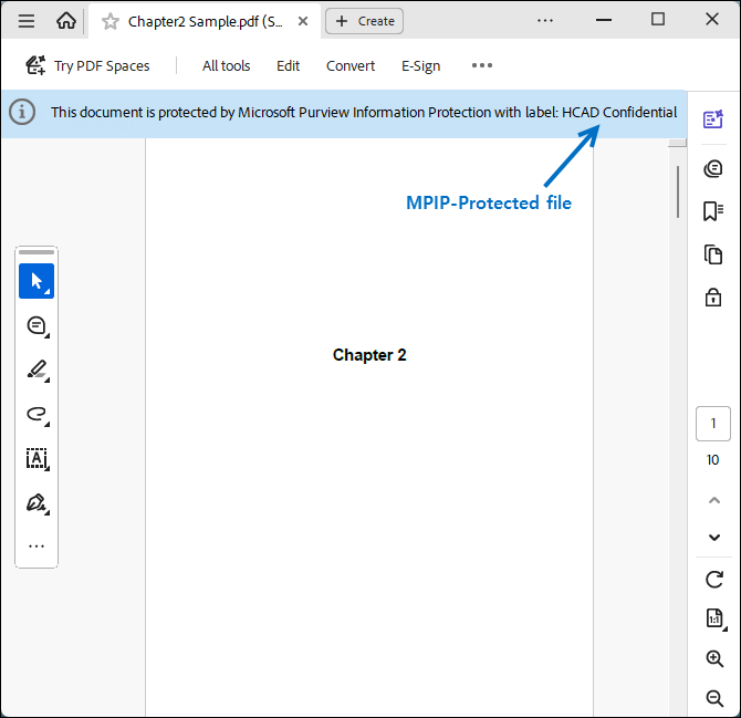 MPIP protected file.png