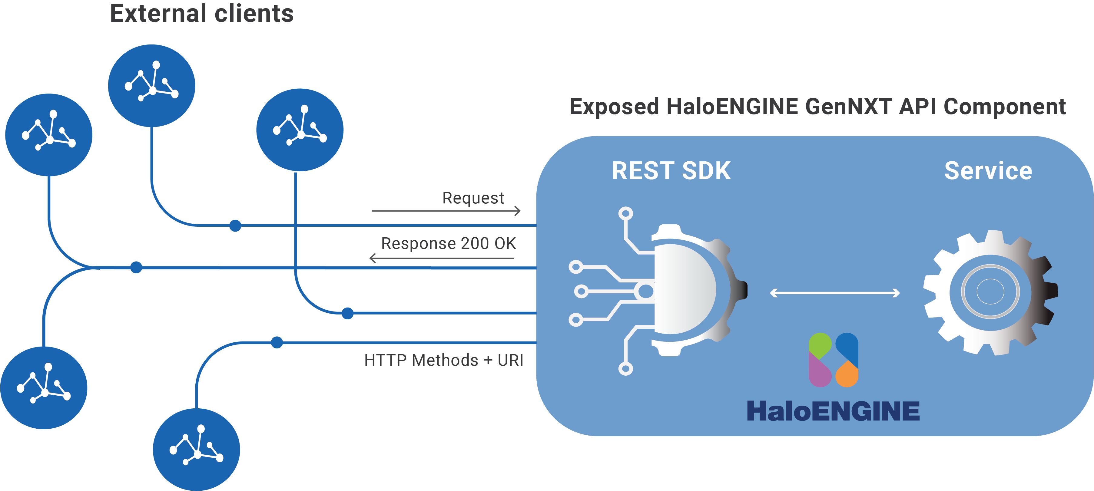 HaloENGINE REST SDK.png