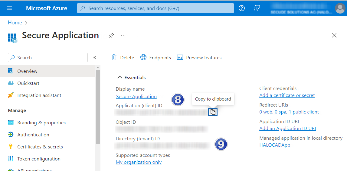 3 Application ID and Tenant ID.png