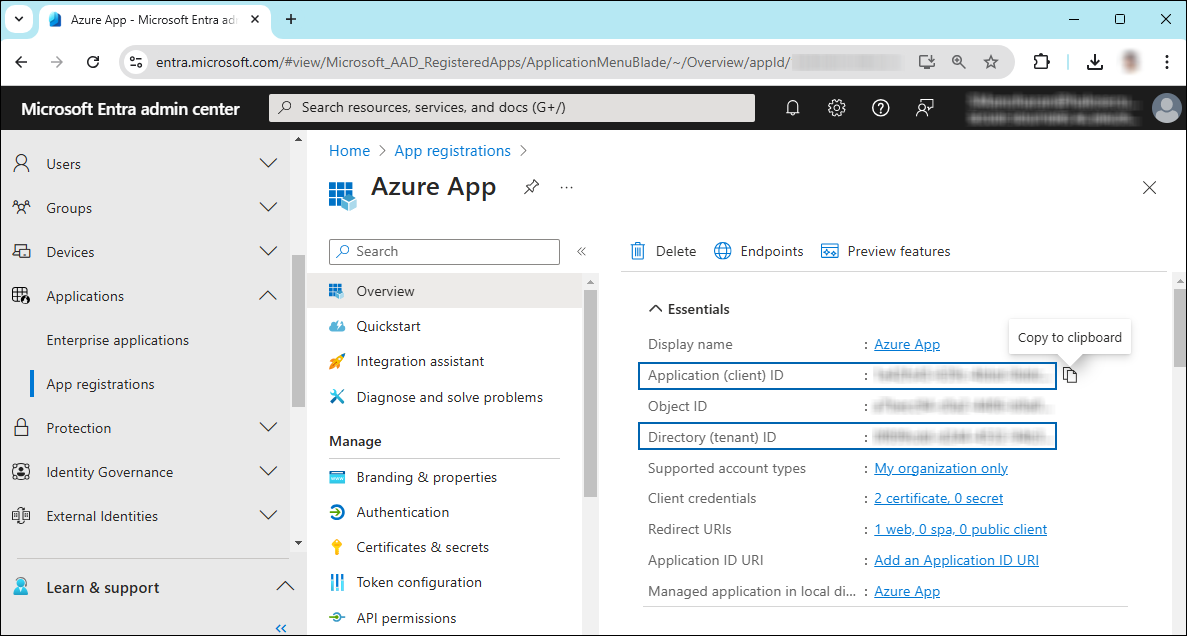 3_Application ID and Tenant ID.png