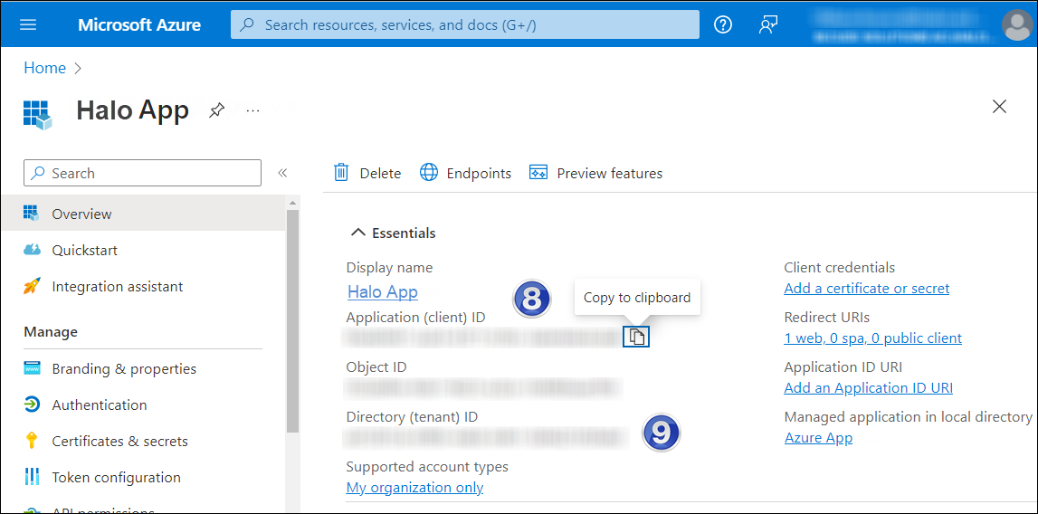 Application ID and Tenant ID_3.png