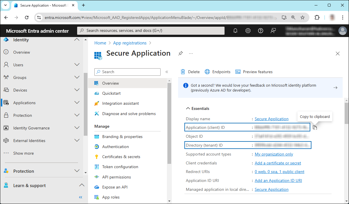 3_Application ID and Tenant ID.png